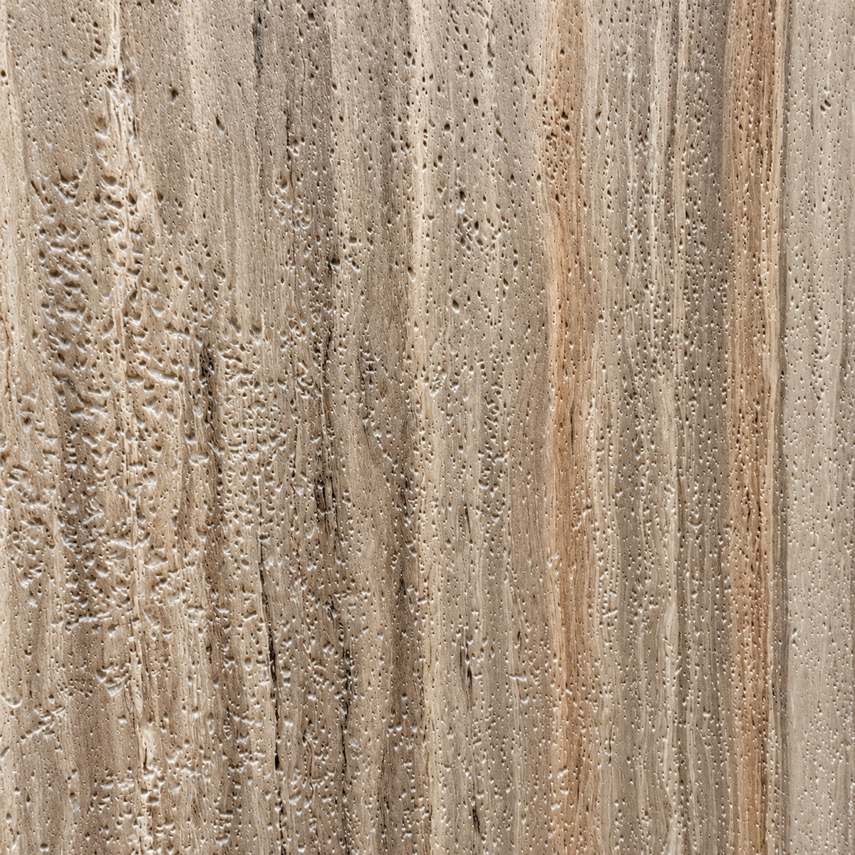 TRAVERTINO ROSSO | Pannello PVC Opaco Materico 122x290 cm