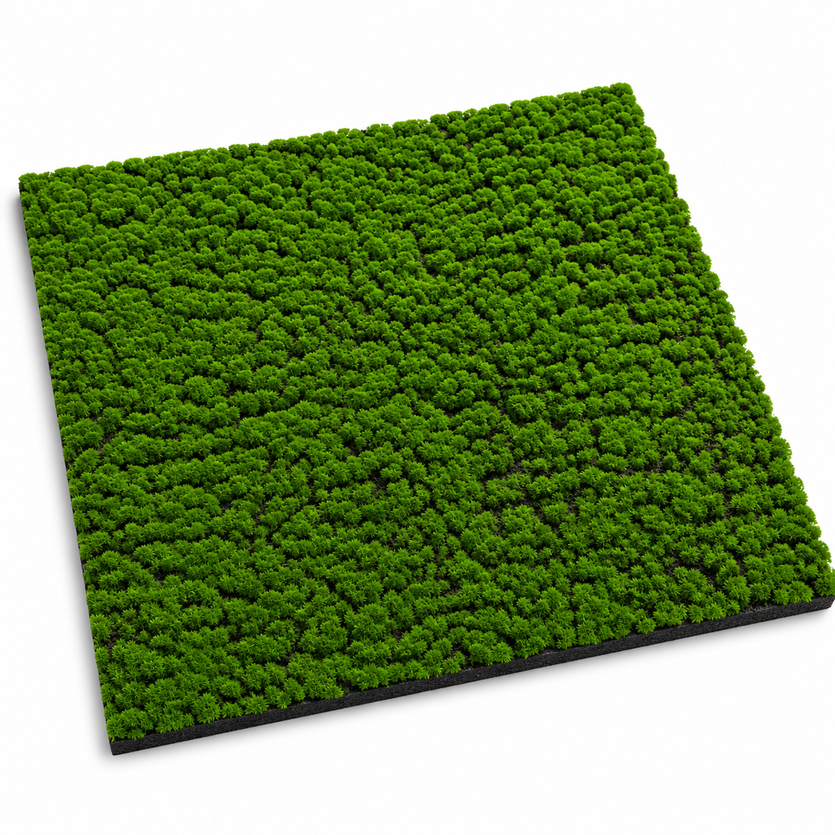 Muschio Naturale 100 cm x 100 cm | Modello scuro