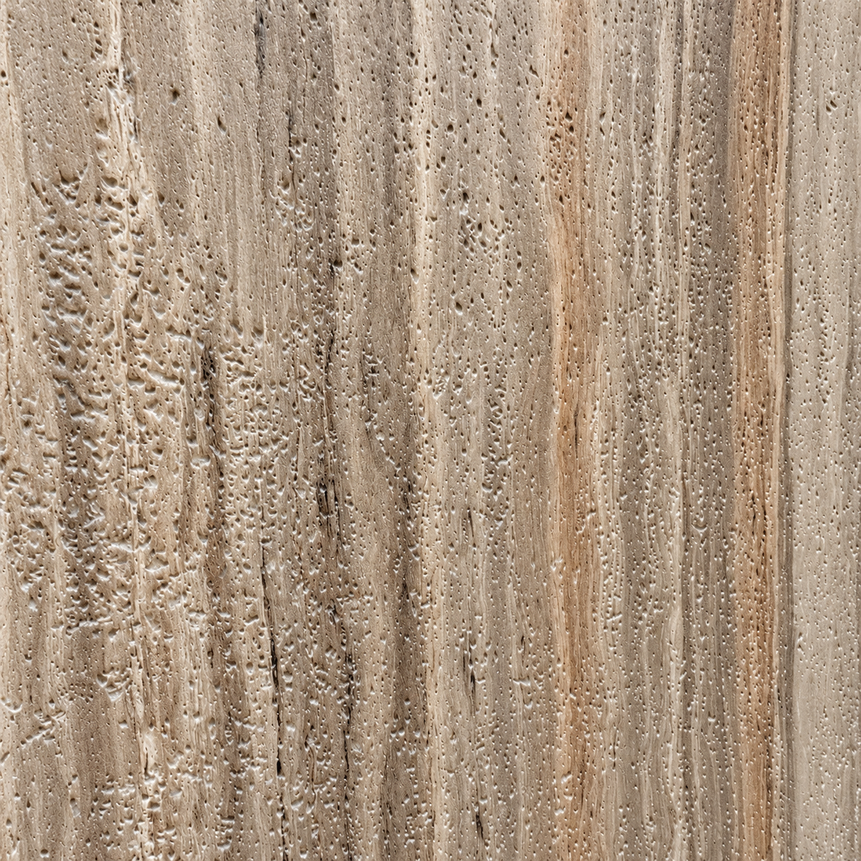 TRAVERTINO ROSSO | Pannello PVC Opaco Materico 122x290 cm