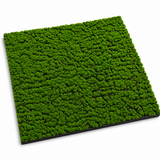 Muschio Naturale 100 cm x 100 cm | Modello scuro