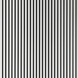 Acoustic Line - White & Black 60x290